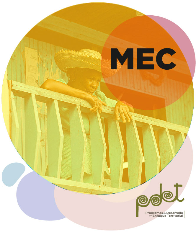 participacion mecanismo especial de consulta
