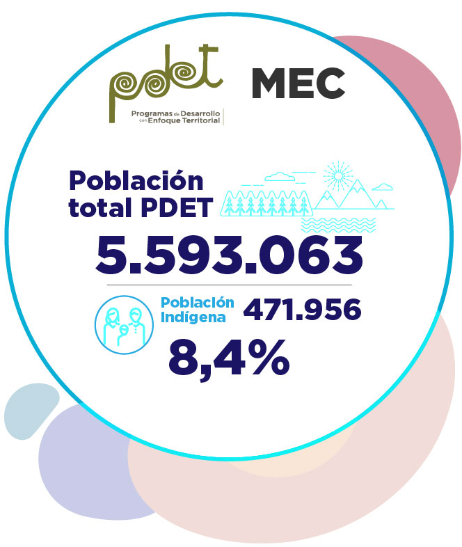 participacion mecanismo especial de consulta