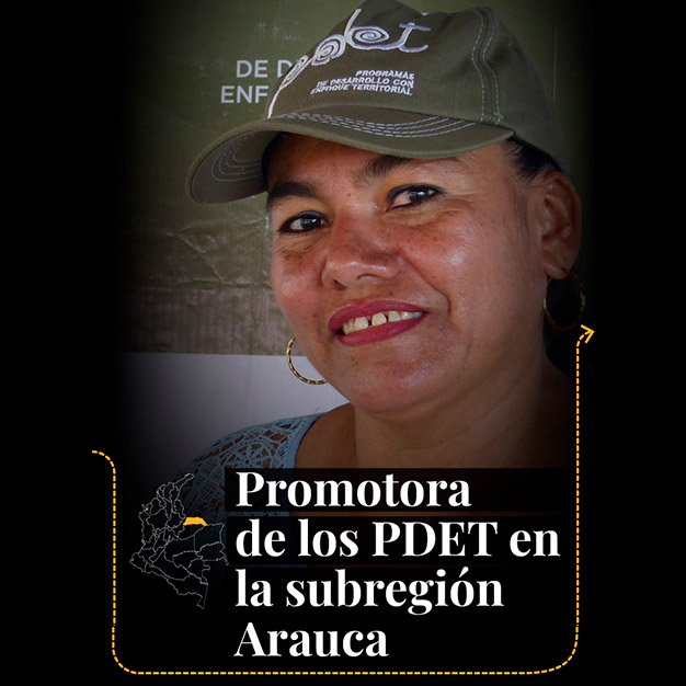 promotora pdet