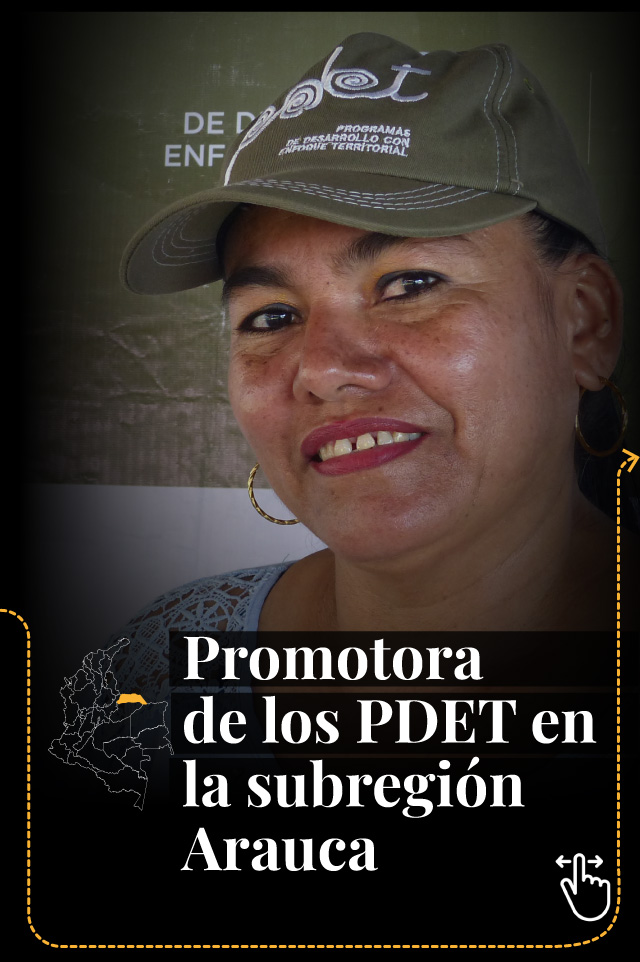 promotora PDET en la subregion de Arauca