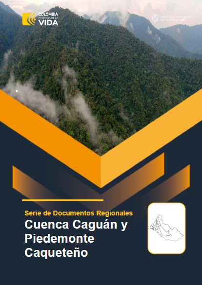 Cuenca Caguán – Informe de Implementación 2022
