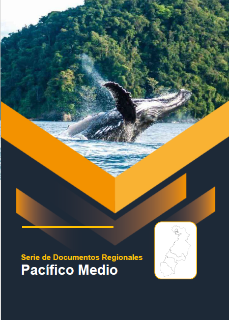 Pacifico Medio – Informe de Implementación 2022