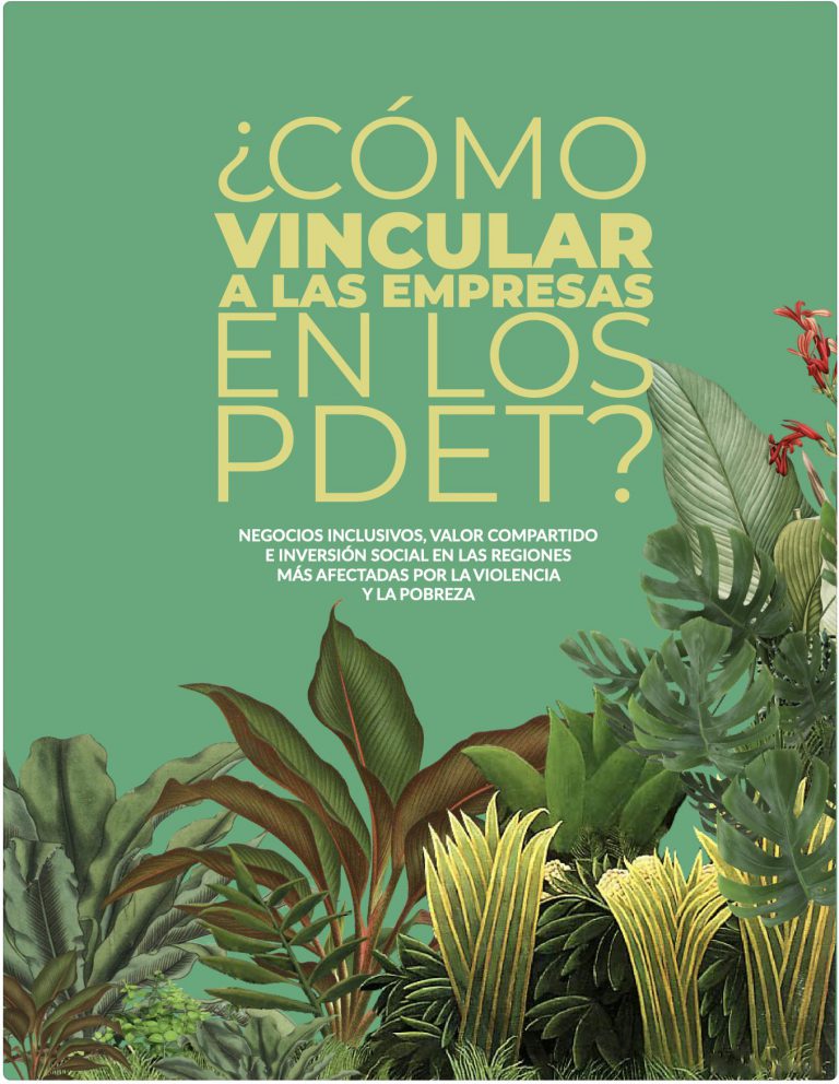 ¿Cómo vincular al sector privado en los PDET? 
