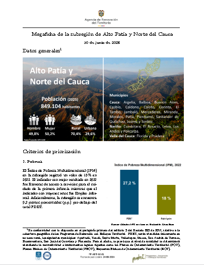 Alto Patía – Informe de Implementación 2025