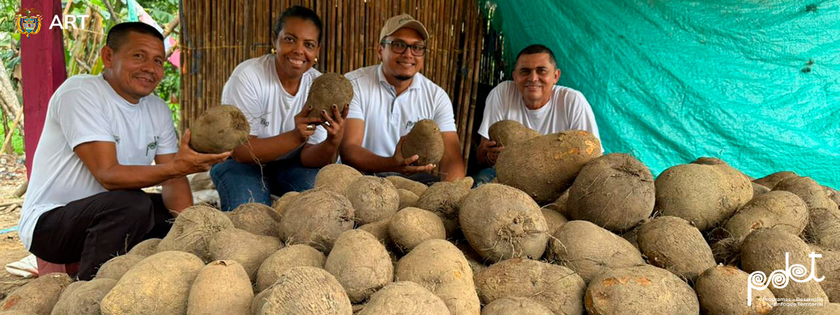 Campesinos de la vereda Berruguita con cosecha de ñame