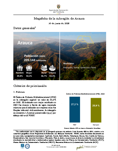 Arauca – Informe de Implementación 2025