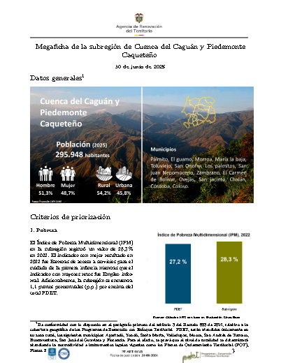 Cuenca Caguán – Informe de Implementación 2025