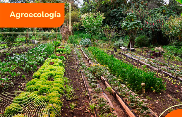 Enlace a infografía de Agroecología