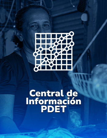 Imagen con filtro azul de mujer campesina que enlaza a la Central de Información PDET