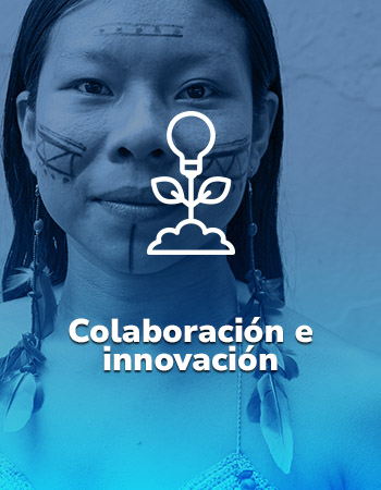 Enlace a la sección de Colaboración e innovación