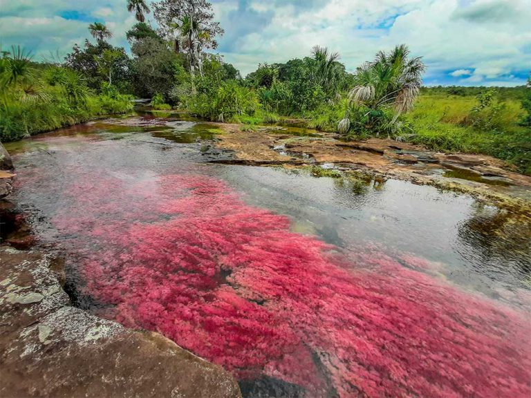 Foto: Gobernación del Guaviare