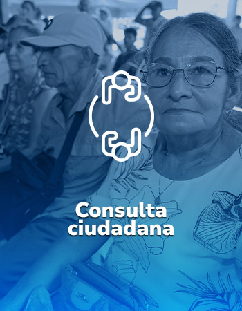 Enlace a la sección de Consulta Ciudadana