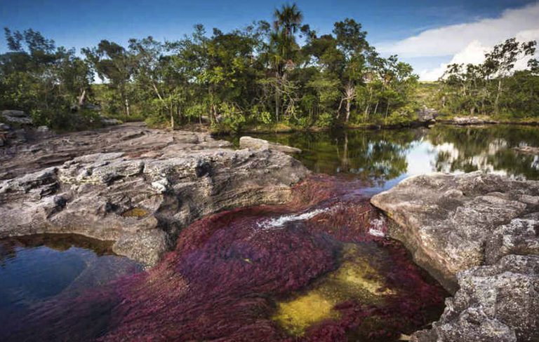 Imagen tomada de: https://www.semana.com/contenidos-editoriales/meta-aqui-estamos/articulo/turismo-sostenible-en-cano-cristales-la-macarena-meta/634183/