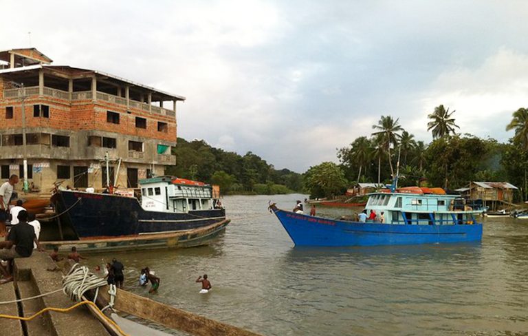 Imagen tomada de: https://www.flickr.com/photos/proaves/6437556987/in/photostream/