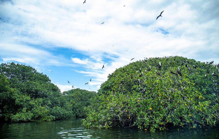 Imagen tomada de: https://situr.narino.gov.co/municipio/tumaco