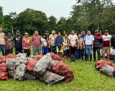 Comunidades indígenas y afrodescendientes de Arauca recibidiendo ayudas agroforestales.