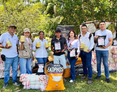 Comunidades étnicas fortalecen cultivos tradicionales con apoyo de la ART en Berruguita, El Carmen de Bolívar