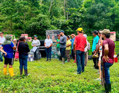 Gobierno nacional avanza en proyectos productivos en Colosó con el apoyo de la ART y la FAO