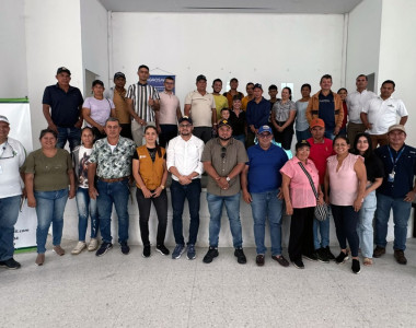 ART impulsa la cadena productiva apícola en tres municipios de la región PDET de Arauca