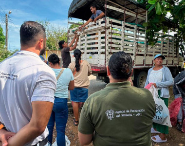 Más de 5.200 gallinas para fortalecer granjas de mujeres rurales de Tierralta