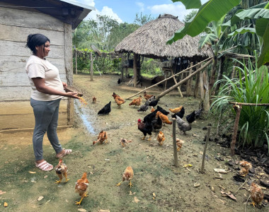 Mujer campesina con gallinas