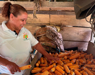 Mujer campesina con cosecha de maiz