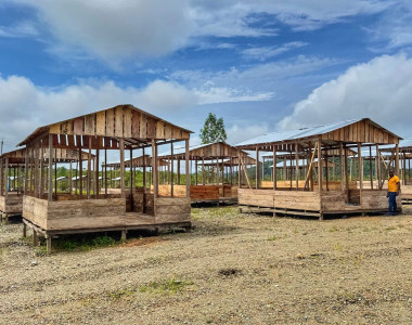 Galpones del proyecto avícola