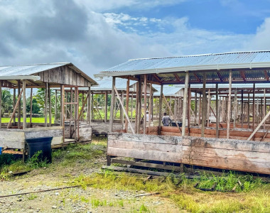 Galpones del proyecto avícola