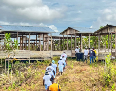 Galpones del proyecto avícola