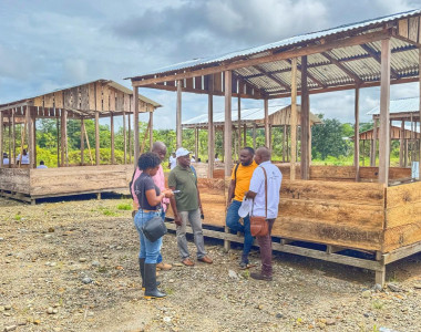 Galpones del proyecto avícola