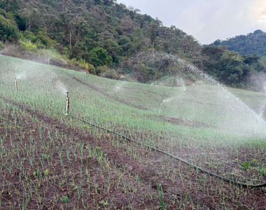 Sistema de riesgo en cultivo