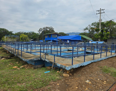 Acueducto de Tame, Arauca