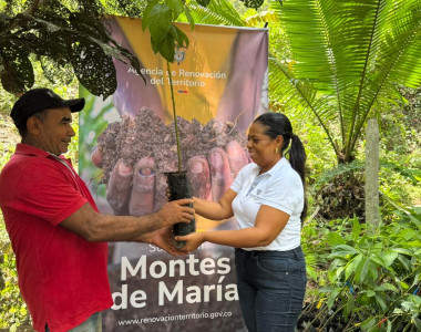 Coordinadora de la ART en Montes de María entregando una plántula de aguacate