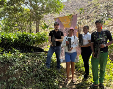 Agricultores de Colosó recibiendo plántulas de aguacate