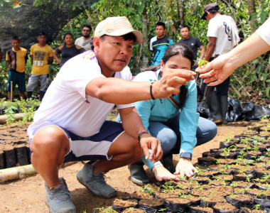Indígenas del pueblo Barí sembrando plantas