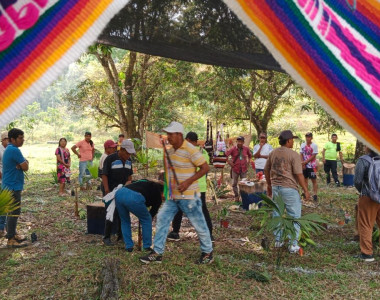 Comunidad indígena Nasa en huerta tradicional