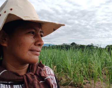 Mujer indígena Nasa en cultivo