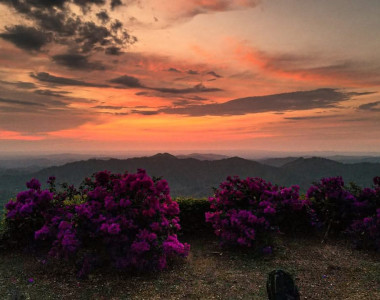 Paisaje de los Montes de María