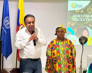 Director de la ART hablando en la presentación de la caracterización