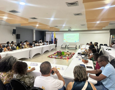 Presentación de los resultados de la caracterización