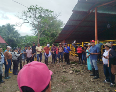 Ganaderos de Fortul en entrega de semovientes