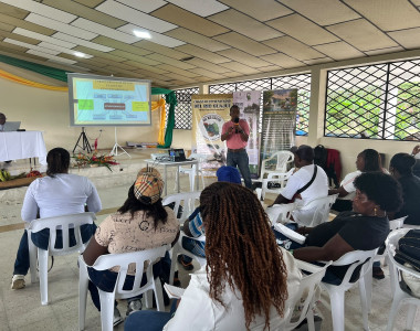 Comunidades afro en capacitación
