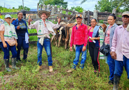 Hombres y mujeres campesinos ganaderos con algunas reses