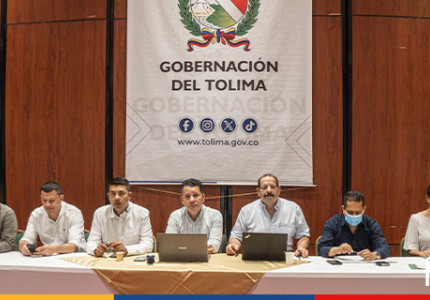 Gobernación del Tolima y alcaldes de municipios PDET avanzan en la estructuración del capítulo de programas y proyectos para el Sur del Tolima