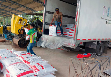 Amalfi, municipio de Antioquia, fortalece su producción cacaotera con más de 110 toneladas de insumos agrícolas