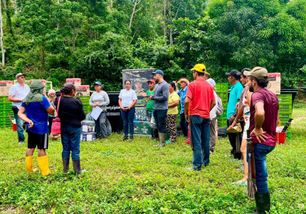 Gobierno nacional avanza en proyectos productivos en Colosó con el apoyo de la ART y la FAO