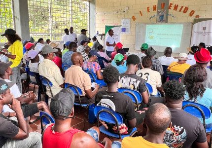 Guapi, Timbiquí y López de Micay fortalecen la cadena productiva del coco en el Pacífico caucano