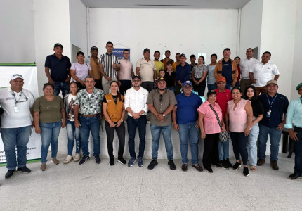 ART impulsa la cadena productiva apícola en tres municipios de la región PDET de Arauca