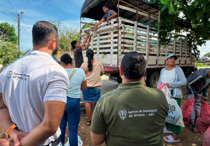 Más de 5.200 gallinas para fortalecer granjas de mujeres rurales de Tierralta