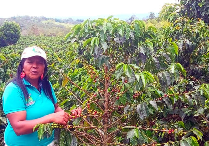 Los moralenses resisten con su fe puesta en el café y la paz